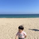 동아리조트 | 키즈프렌들리 켄싱턴리조트 설악비치 후기 (디럭스 마운틴 뷰 리뉴얼 객실) 내돈내산, 속초 동아서점까지