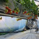 기능발전 이미지