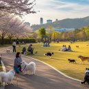 남부LPG 충전소 | 중부내륙고속도로 휴게소 상행선·하행선 비교 │ 대표 메뉴 &amp; 편의시설 총정리