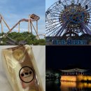 한국맥도날드경주황남DT점 | gyeongju:: 합법적으로 소리지르는 날. 쫄보의 경주월드 체험기.
