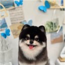 와르아르 네이버블로그