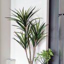 다우에프앤지