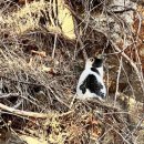 새천년1단지(아) | 강원 삼척 ] 삼척해수욕장, 새천년해안도로, 삼척해상...곳 강원도여행코스 해맞이 해돋이 내돈내산 후기