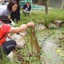 연촌초교 이미지