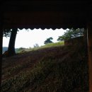 한새들회관 이미지