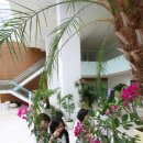 청사로프라자 이미지