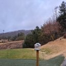 (주)찬스스타트 | &#34;벨라스톤cc&#34; 횡성 골프장, 가성비 골프장, 내돈내산 골프장 후기