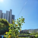 열매몬테소리어린이집 이미지