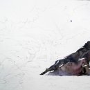 계곡수채화 이미지