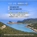 박하 행정사 사무소 네이버블로그