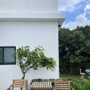 슬로우맨션 이미지