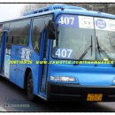 내곡동407 이미지