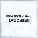 엘리 | 서북구 불당동 저자극 천안왁싱 그날엔엘리