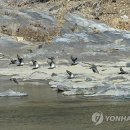 섬강축산 이미지