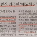 조선에프앤씨 이미지