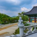 원터골 Daum카페
