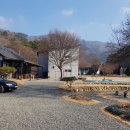 내면농장 Daum카페