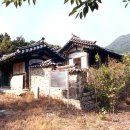 사의당 이미지