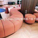 샤마리 이미지