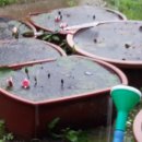 낙수농장 이미지