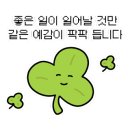 바베이드치킨 이미지