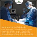 곤지암 동물병원 이미지