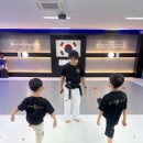 용인대 버들 태권도 이미지