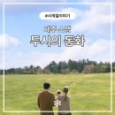 두시의동화와 함께한 우리의 시간, 제주웨딩·만삭·돌스냅 후기