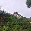 새한공사