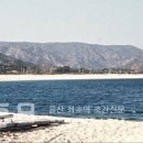 낙화암 쌍바위 이미지