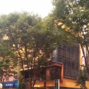 형치과병원 이미지