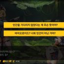 라스트오리진 후기 전투 재밌고 스킨 많고 일러스트 상점에서 미리보기 제공한다