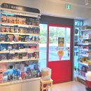 진솔약국 이미지