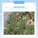 봄맞이 나들이, 국립 세종수목원 방문 후기! (3/1~3/2 무료 입장, 비 오는 날의 정취)