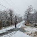 경기둘레길 연천12코스 | 경기둘레길 12코스 연천 *신탄리역~내산리 삼보쉼터* (25.12.23)