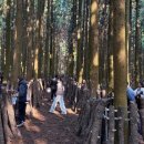 귀일중학교 이미지