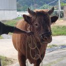 선달농장 이미지