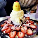 코요테앤어글리 이미지