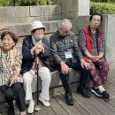 영통데이케어센터 이미지