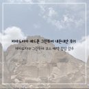 그린쇼핑센타 | [25&#39;카파도키아] 레드문 그린투어 코스 점심 내돈내산 솔직 후기🇹🇷