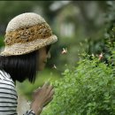 포트리 (poetry)