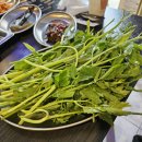 꼬들돈가 | 공릉미나리삼겹살 '청담돈가' 먹방 후기 #냉삼 #생고기