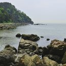 다대해수욕장 Daum카페