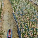 수우농장 이미지