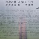 윤강선생묘 및 신도비 이미지