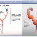 해옴동물병원 이미지