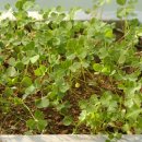 가톨릭할인마트 이미지