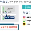 서울앤탑동물병원