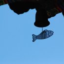 쪽빛하늘 이미지