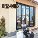 써브웨이 대구죽전점 | 애견동반 가능한 대구남산동카페 미랑시에2 휘낭시에와 초당옥수수라떼 후기